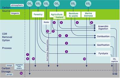 Scoping carbon dioxide removal options for Germany–What is their potential contribution to Net-Zero CO2?